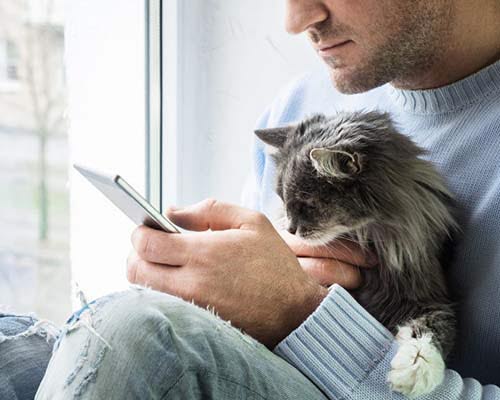 Mand holder kat og får hjælp fra vores dyrlæger alle årets dage med vores online dyrlægetjeneste i Agrias app