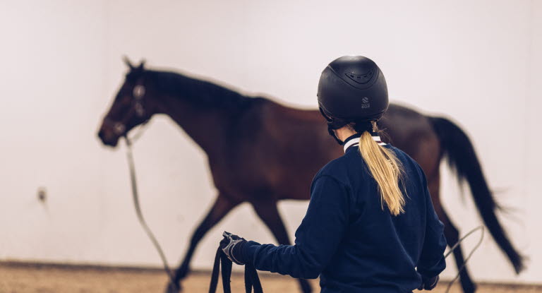 Kvinde longerer en hest