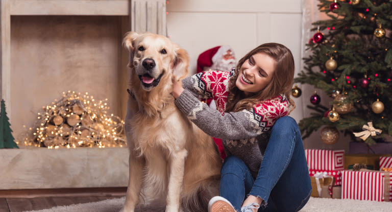 parti boykot Gætte Pas godt på hunden i juletiden | Se hvad du skal passe på - Agria  Dyreforsikring