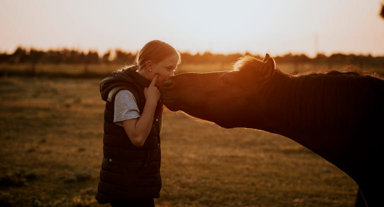 Pony giver pige et kys på folden