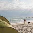 Hund på strand i udlandet.