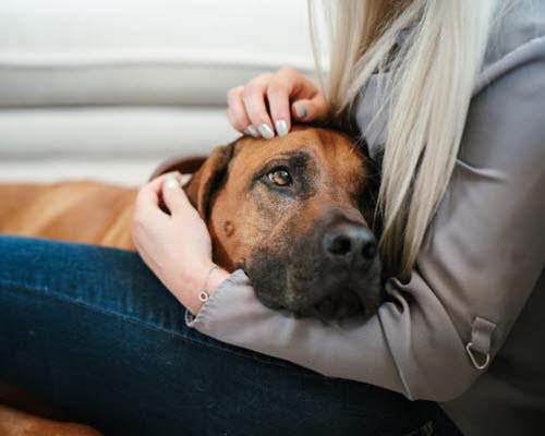 Kvinde med hund i skødet.