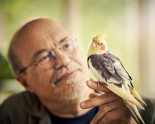 Man sidder med sin fugl