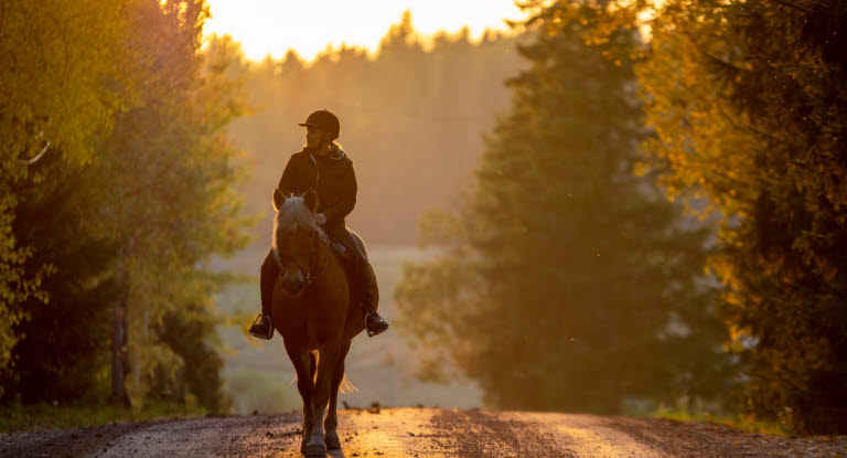 En kvinde skridter en stille tur på sin hest