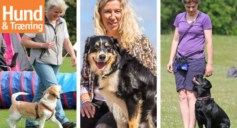 Hund og trænings team af hundetrænere