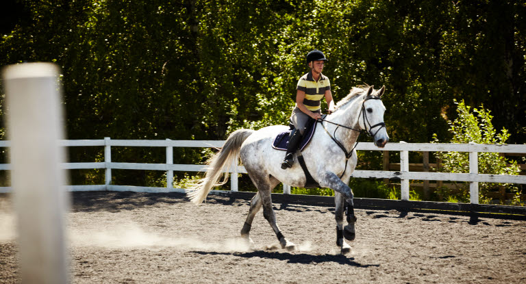 Rytter på hest - Husk at kontrollere sadel