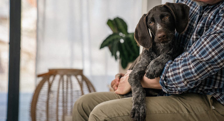 Mand sidder med sin huns på skødet