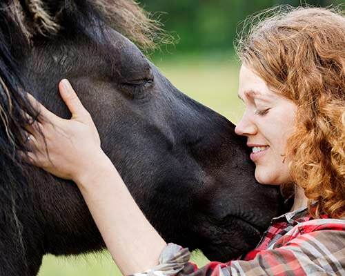 Kvinder krammer hest